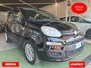 fiat-panda-1-0-hybrid-24-000km-anno-2021-aziendale