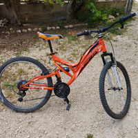 Mountain bike