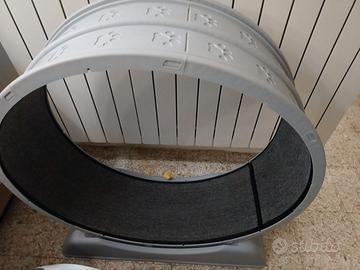 Ruota per gatti