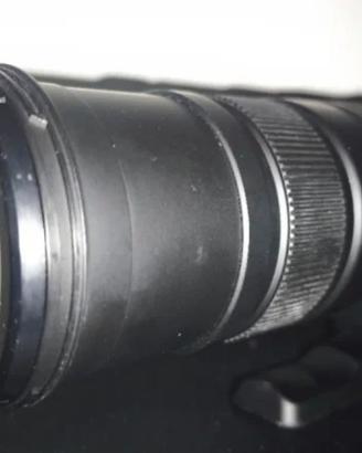 Sigma 150-500mm F5-6.3 APO DG OS HSM+Teleconverter