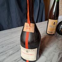 vino da collezzione aleatico e gattinara
