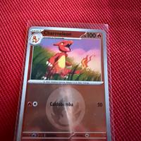 Carte pokemon