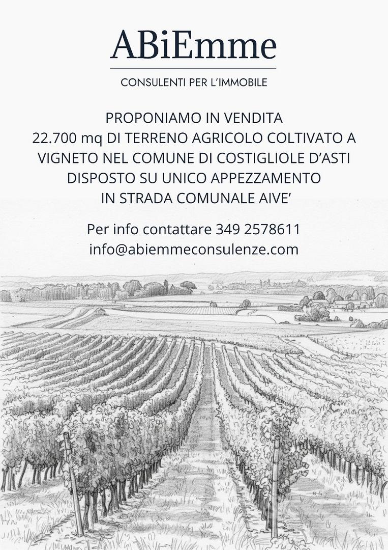 Vigneto - Terreni e rustici In vendita a Asti