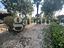 Immagine 27