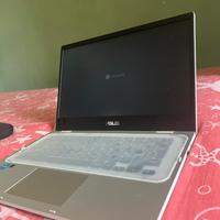 Asus Chromebook 14 pollici Notebook