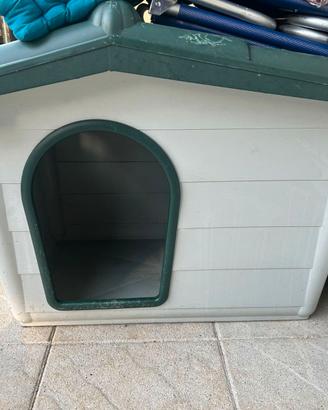 Cuccia cane