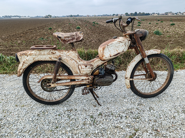 Ducati piuma brisk 48