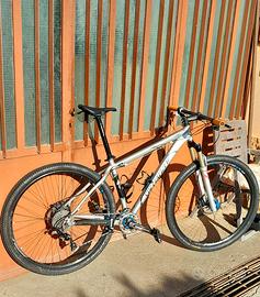 Specialized stumpjumper comp 29 ht del 2009