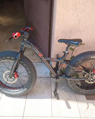 Fat bike