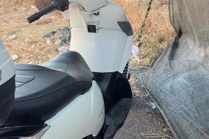 Scarabeo 500 light