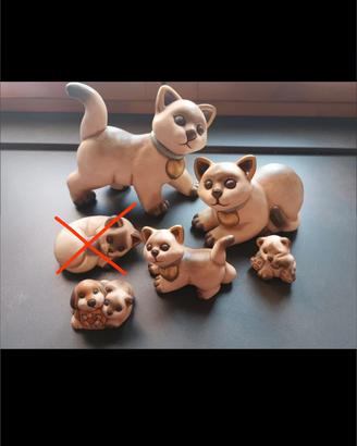thun gatti siamesi