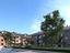 Immagine 12