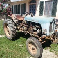 Landini