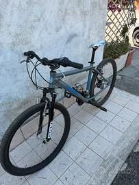 Bici MTB Casadei