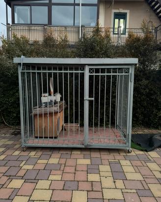 Gabbia per cane