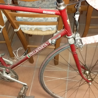 Bici da corsa stella veneta