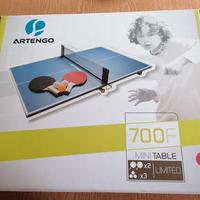 Mini tavolo ping pong