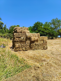 BALLE DI FIENO DI PRATO - Zona Cave / Valmontone