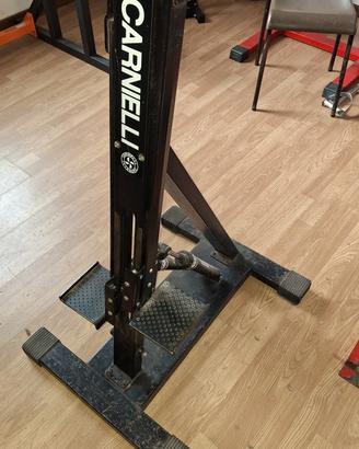 Vertical Climber Carinelli 