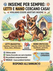 Animali