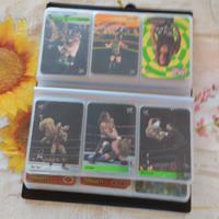 Astuccio pieno di carte