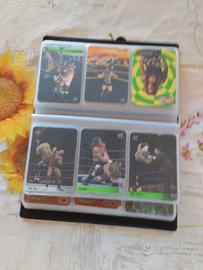 Astuccio pieno di carte