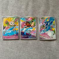 Pokemon primi compagni di avventura serie 1