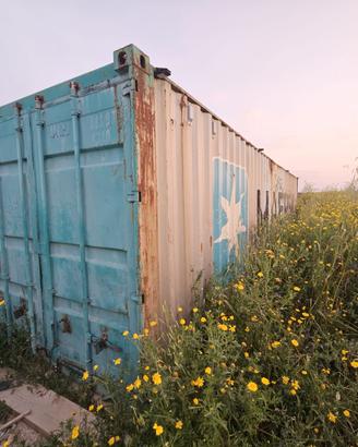 Container maesk 12 metri