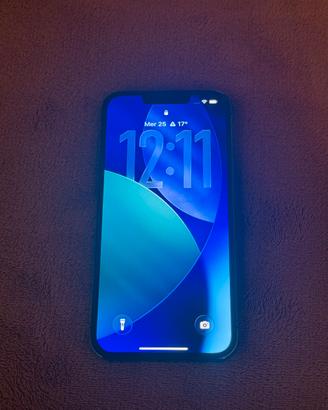 Apple iPhone 13 Pro 256GB batteria 100%