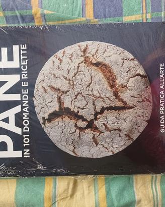 Il pane in 101 domande e ricette