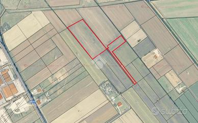 TER. AGRICOLO A SPELLO