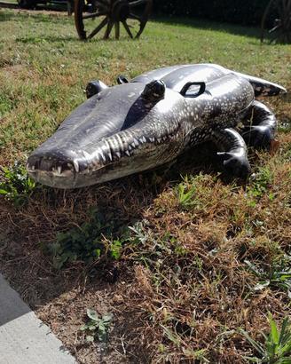 materassino a forma di coccodrillo 