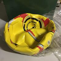Pallone da Calcio PANINI - Mondo