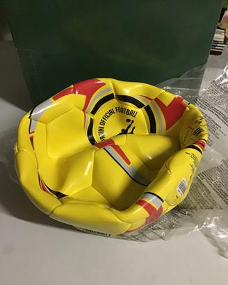 Pallone da Calcio PANINI - Mondo