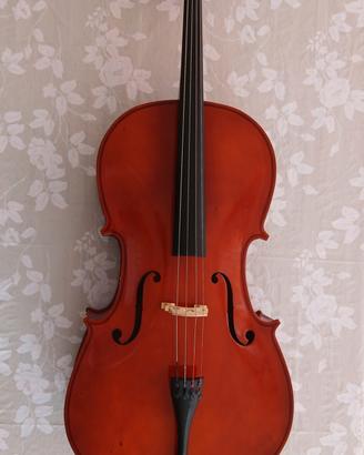 violoncello da studio ffalstaff. 4/4 