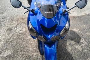 Kawasaki zzr 1400