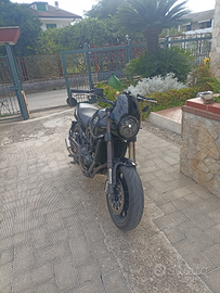 Benelli Leoncino 500