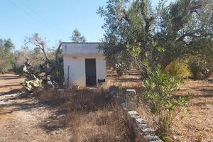 Terreno per seminativo