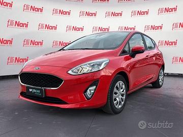 Ford Fiesta 1.1 75 CV GPL 5 porte Titanium