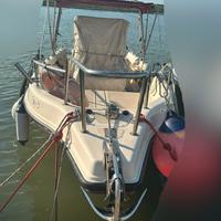 Monsellato Master 730+volkswagen 150 HP
