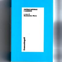 Capitale naturale e ambiente,Franco Angeli