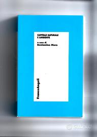 Capitale naturale e ambiente,Franco Angeli