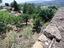 Immagine 7