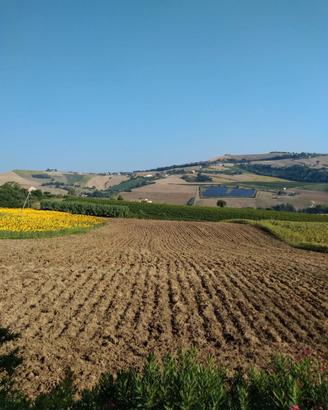 Terreno Agricolo