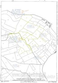 Terreno Agricolo Casalborgone [A4355476]