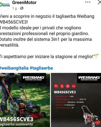 rasaerba Weibang