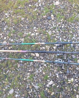 Canne da pesca trota lago