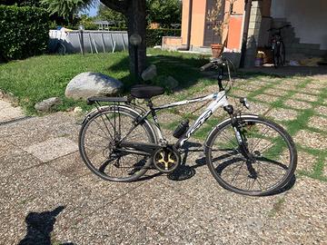 Bicicletta passeggio/turismo uomo