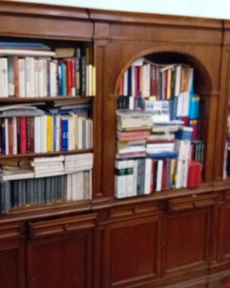 Libreria vintage in stile.