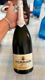 Ferrari Magnum